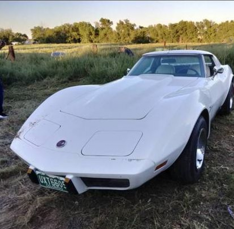 1976 Chevrolet Corvette for sale in Michigan (ID-112407) 1976 Chevrolet Corvette for sale in Michigan (ID-112407)