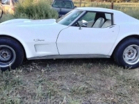 1976 Chevrolet Corvette for sale in Michigan (ID-112407)