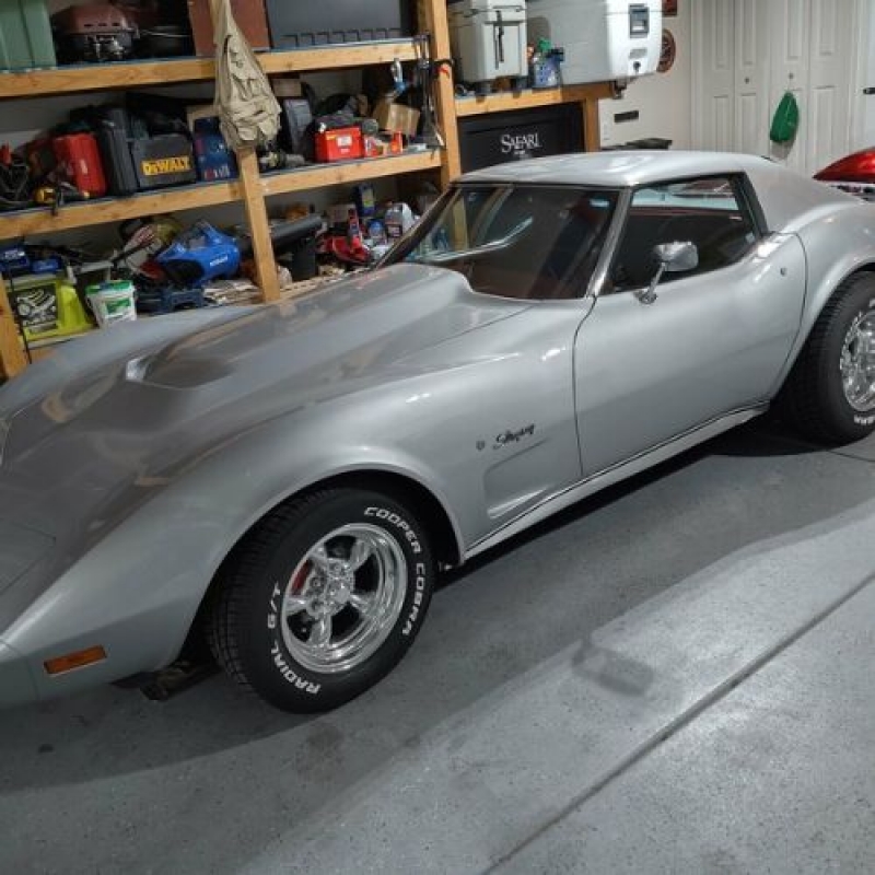 1976 Chevrolet Corvette for sale in Michigan (ID-114928)