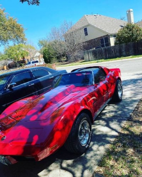 1976 Chevrolet Corvette for sale in Michigan (ID-115516)