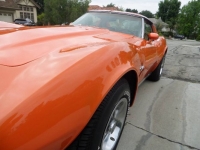 1976 Chevrolet Corvette for sale in Michigan (ID-117470)