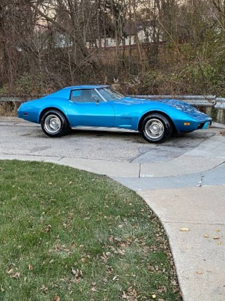 1976 Chevrolet Corvette for sale in Michigan (ID-118470) 1976 Chevrolet Corvette for sale in Michigan (ID-118470)