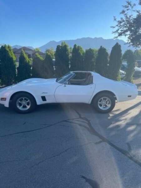 1976 Chevrolet Corvette for sale in Michigan (ID-118480) 1976 Chevrolet Corvette for sale in Michigan (ID-118480)