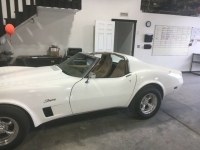 1976 Chevrolet Corvette for sale in Michigan (ID-118480)