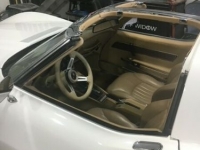 1976 Chevrolet Corvette for sale in Michigan (ID-118480)