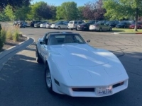 1976 Chevrolet Corvette for sale in Michigan (ID-118480)