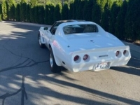 1976 Chevrolet Corvette for sale in Michigan (ID-118480)
