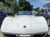 1976 Chevrolet Corvette for sale in Michigan (ID-119845)