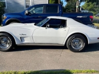 1976 Chevrolet Corvette for sale in Michigan (ID-119845)