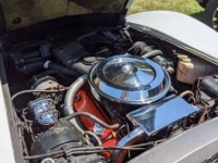 1976 Chevrolet Corvette for sale in Michigan (ID-119845)