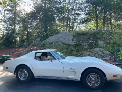 1976 Chevrolet Corvette for sale 1976 Chevrolet Corvette for sale