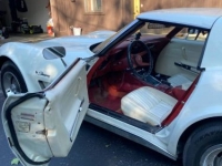 1976 Chevrolet Corvette for sale in Michigan (ID-120380)