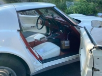 1976 Chevrolet Corvette for sale in Michigan (ID-120380)