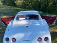 1976 Chevrolet Corvette for sale in Michigan (ID-121078)