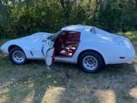 1976 Chevrolet Corvette for sale in Michigan (ID-121078)