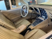 1976 Chevrolet Corvette for sale in Michigan (ID-126541)