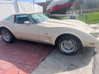 1976 Chevrolet Corvette for sale in Michigan (ID-126561)