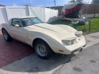 1976 Chevrolet Corvette for sale in Michigan (ID-126561)