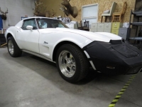 1976 Chevrolet Corvette for sale in Michigan (ID-127615)