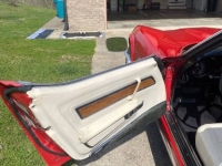 1976 Chevrolet Corvette for sale in Michigan (ID-130034)