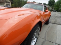 1976 Chevrolet Corvette for sale in Michigan (ID-130247)