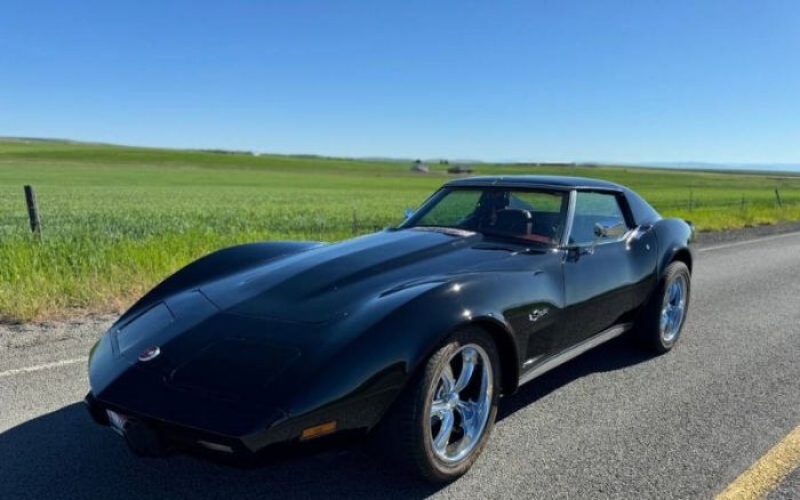 1976 Chevrolet Corvette for sale in Michigan (ID-134894)
