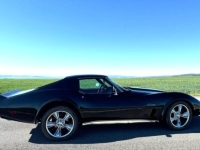 1976 Chevrolet Corvette for sale in Michigan (ID-134894)