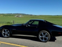 1976 Chevrolet Corvette for sale in Michigan (ID-134894)