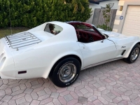 1976 Chevrolet Corvette for sale in Michigan (ID-141303)