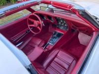 1976 Chevrolet Corvette for sale in Michigan (ID-141303)