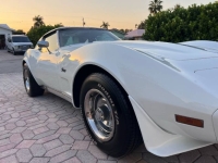 1976 Chevrolet Corvette for sale in Michigan (ID-141303)