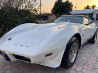 1976 Chevrolet Corvette for sale in Michigan (ID-141303)