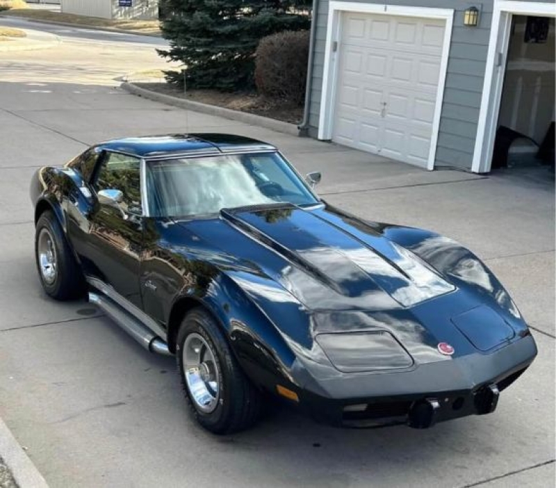 1976 Chevrolet Corvette for sale in Michigan (ID-141318)