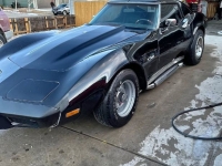1976 Chevrolet Corvette for sale in Michigan (ID-141318)