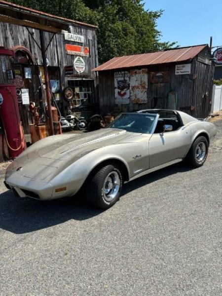 1976 Chevrolet Corvette for sale in Michigan (ID-163939)