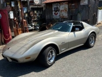 1976 Chevrolet Corvette for sale in Michigan (ID-163939)