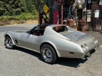 1976 Chevrolet Corvette for sale in Michigan (ID-163939)