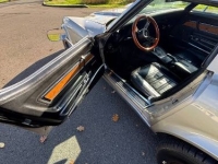 1976 Chevrolet Corvette for sale in Michigan (ID-163939)