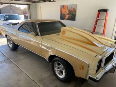 1976 Chevrolet El Camino for sale