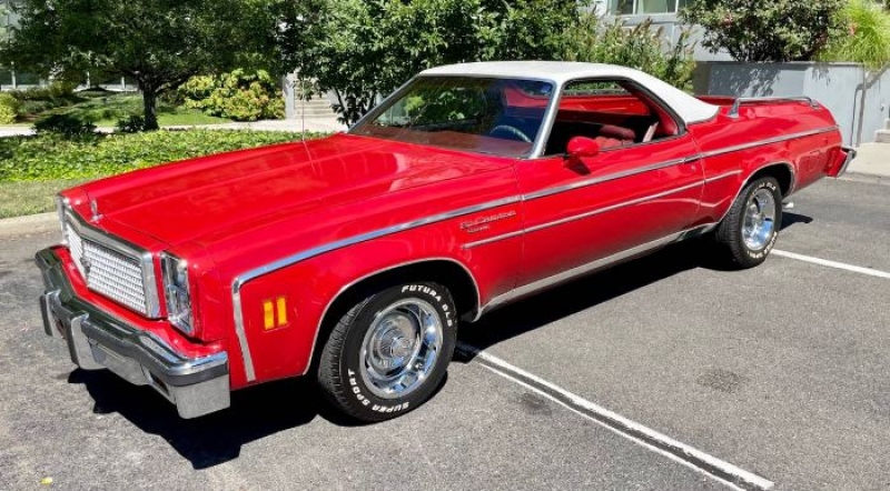 1976 Chevrolet El Camino for sale in Michigan (ID-106576)