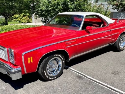 1976 Chevrolet El Camino for sale