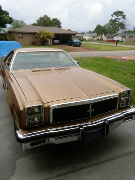 1976 Chevrolet El Camino for sale in Michigan (ID-112835)