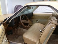 1976 Chevrolet El Camino for sale in Michigan (ID-112835)