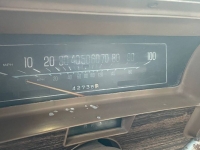 1976 Chevrolet El Camino for sale in Michigan (ID-123100)
