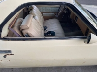 1976 Chevrolet El Camino for sale in Michigan (ID-123100)