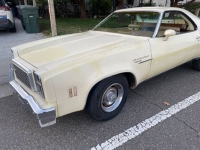 1976 Chevrolet El Camino for sale in Michigan (ID-123100)