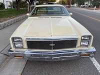 1976 Chevrolet El Camino for sale in Michigan (ID-123100)