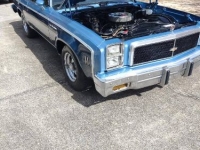 1976 Chevrolet El Camino for sale in Michigan (ID-125038)