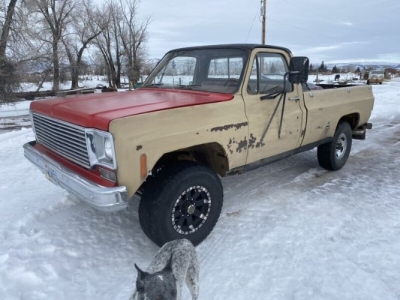 1976 Chevrolet K20 for sale