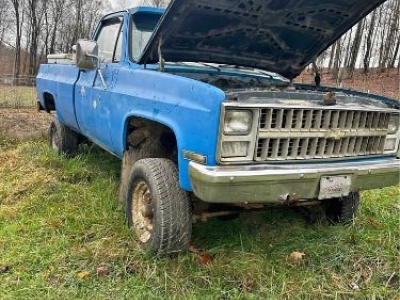 1976 Chevrolet K20 for sale
